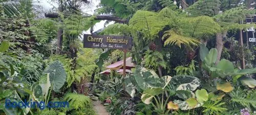 Cherry HomeStay & coffee - Image 1