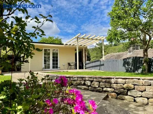 Apple tree hut, in a private garden - Image 1