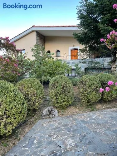 Levidi Horizon - Image 1