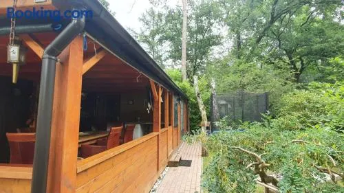 Vakantie chalet G5 - Recreation only - Image 1