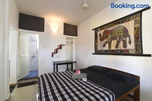 Cactus Guesthouse - Image 1