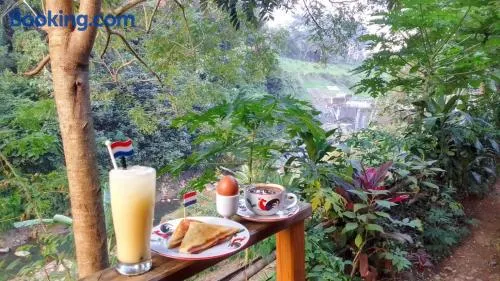 ADA Cottage And Camping - Image 1