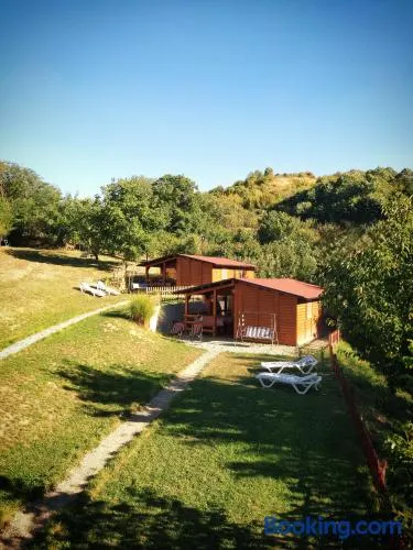 Brvnare Duguljac Fruška Gora - Image 1