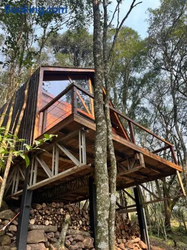 Chalé Araucária - Image 1