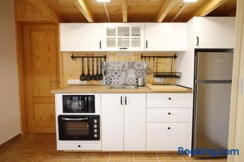 HOUSE of YUCCA - Image 1