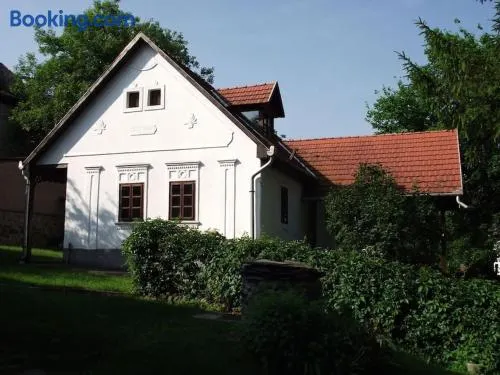 Paloc Manor Vendeghaz Nagyvisnyo Romantic Heritage Guesthouse on the creek Nagyvisnyo - Image 1