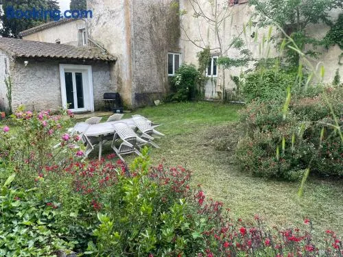 les bambous - Image 1