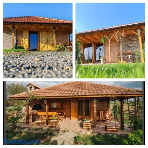 Apartman Dača Banja Ždrelo - Image 1