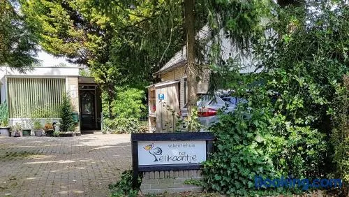 het Pelikaantje - Image 1