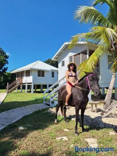 Horse Cottage - Image 1