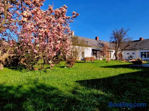 Ferienwohnung Pleesz - Image 1
