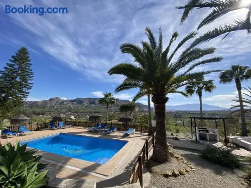 LAS PALMERAS - Image 1