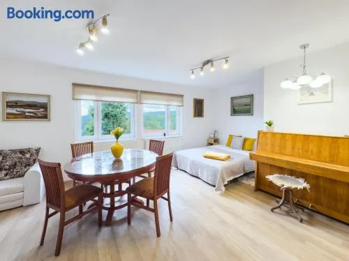 Apartmán u Rádi - Desná v Jizerských horách - Image 1