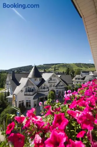 Park Resort - Image 1