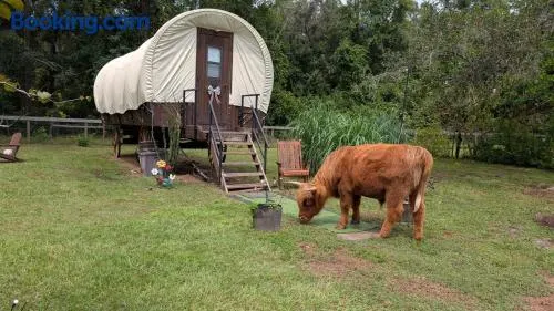 Luxury Covered Wagon, Rooterville Animal Sanctuary - Image 1
