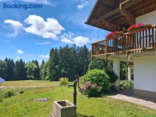 Ferienwohnung Sonnenmatt - Image 1