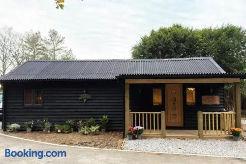 Blackwood - Luxury cottage surround by woodlands - Image 1