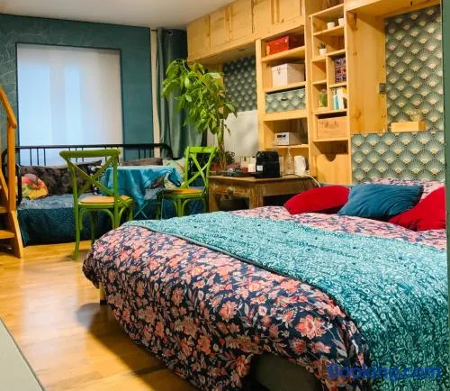 Belle chambre en rez de chaussée avec sauna dans quartier calme - Image 1