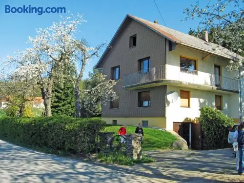 Familienorientierte Wohnung mit Garten, Terrasse und Grill | Gartenblick - Image 1