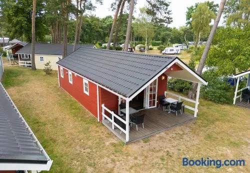 Camping de Molenhof - Lodge 6 personen - Image 1