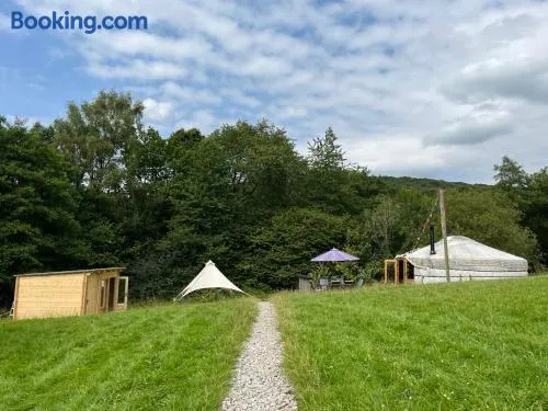 Wilding Yurt Stay - Image 1