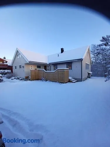 Ski WM Trondheim - Image 1
