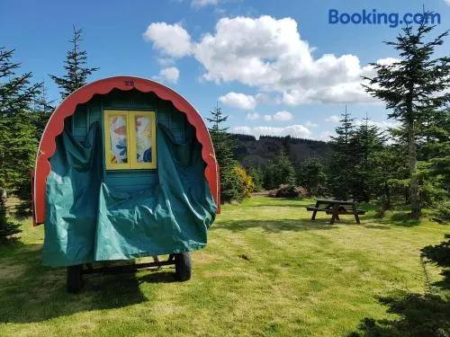 Clissmann Horse Caravans Glamping - Image 1