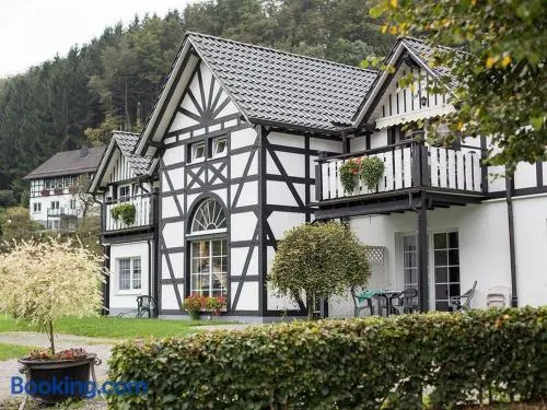 Appartement avec terrasse, barbecue et sauna - Image 1
