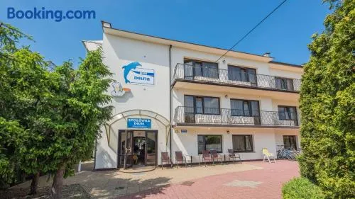 Delfin - Image 1
