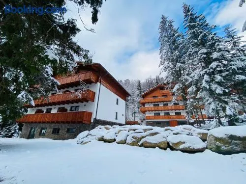 Apartmány Poludnica Chopok Juh - Image 1