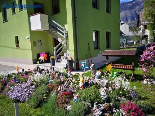 APARTMA JANJA - Image 1