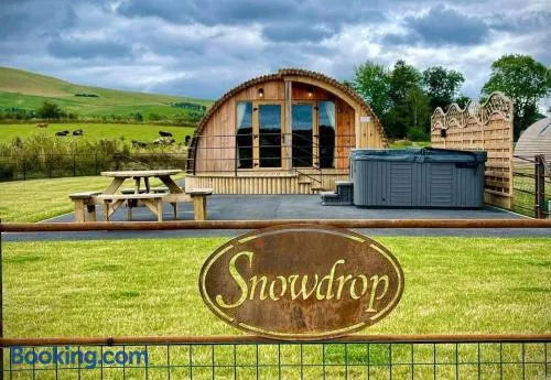 Snowdrop - Image 1