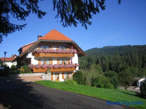 Haus Waldvogel - Image 1