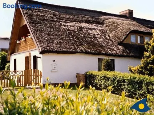 Haus Ueckeritz Loggiawohnung - Image 1