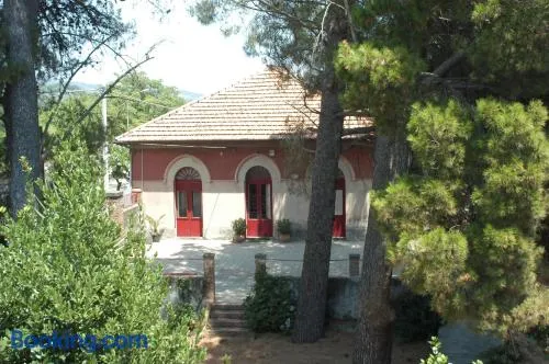 B&B Sotto i Pini - Image 1