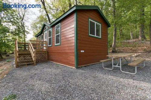 Spring Gulch Cottage 1 - Image 1