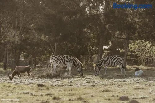 Wild Paradise Farmstay - Image 1