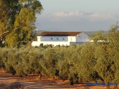 Luxury accomodation off grid - Image 1