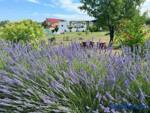 CAMPING LASTE - Image 1