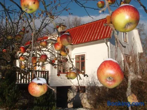 Mellangården i Äpplerum - Image 1