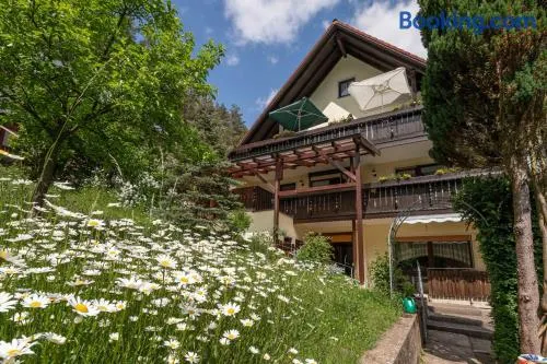 Haus Wiesenttal - Image 1