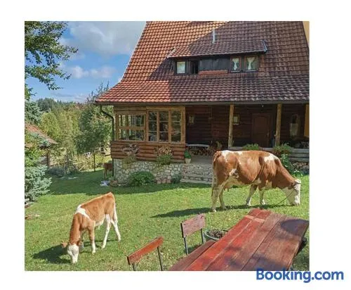 Mountain house - Image 1