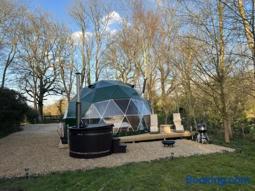 Cherry Tree Dome - Image 1