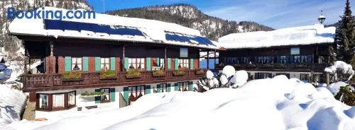 Charmant appartement avec sauna, jardin et terrasse | Vue jardin - Image 1