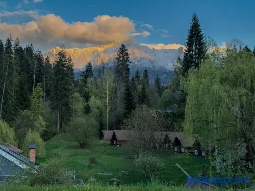 Camping Ursulet Durau - Image 1