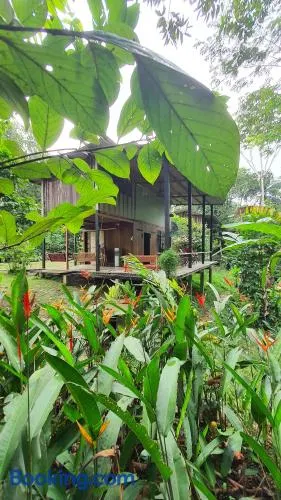 Amazona Lodge - Image 1