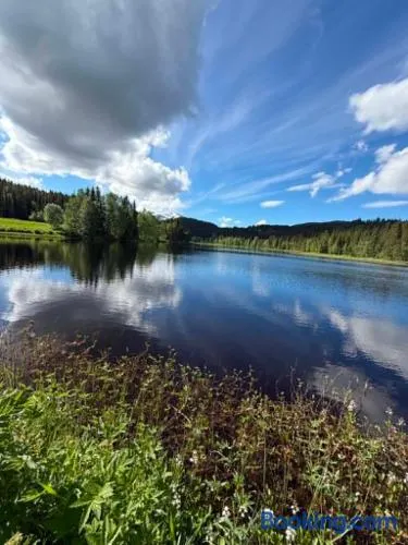 Skogslåven - Image 1