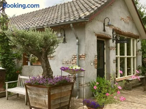 De Zoete Aagt - Image 1
