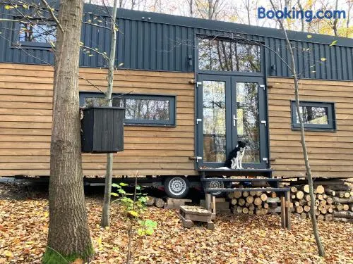 POP Tiny House Mátra - Image 1