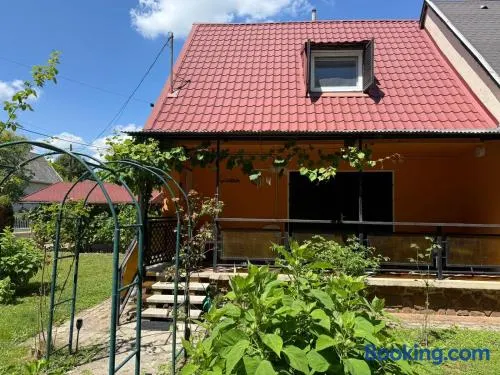 Gerbera Apartman - Image 1